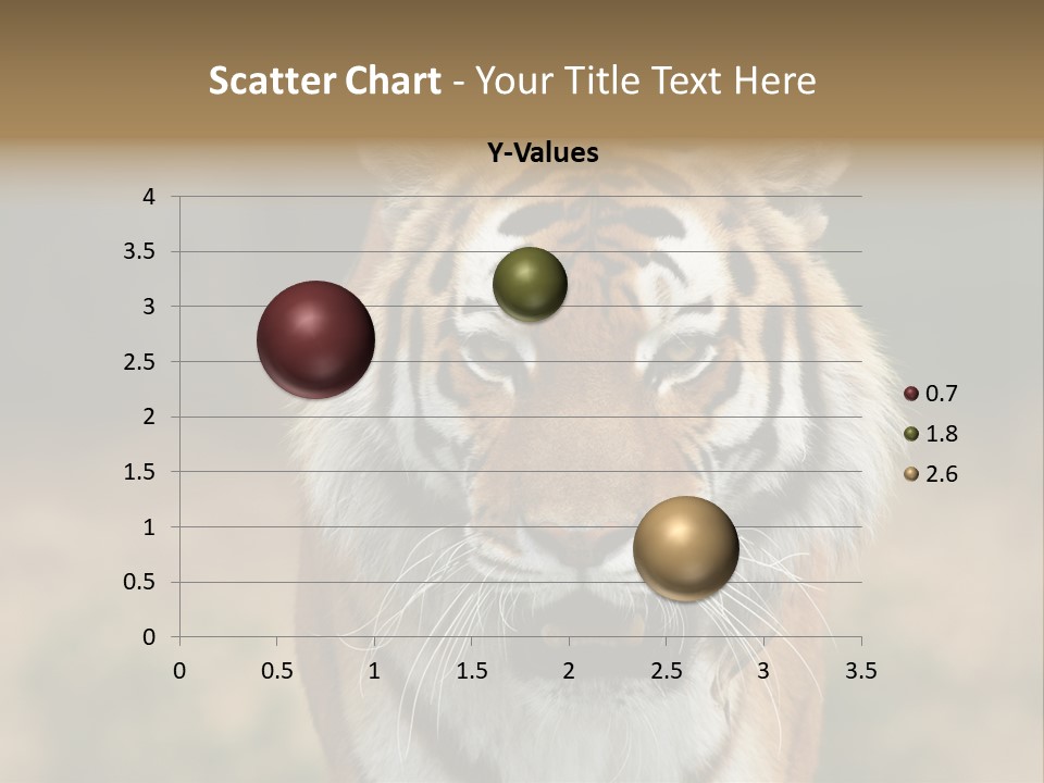 Siberian Tiger PowerPoint Template