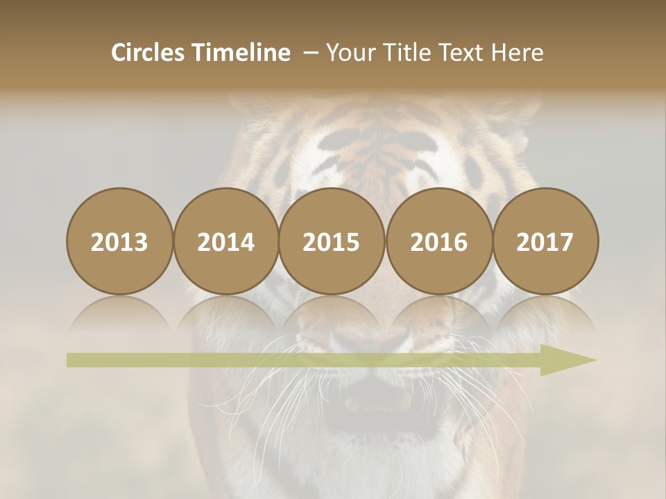 Siberian Tiger PowerPoint Template