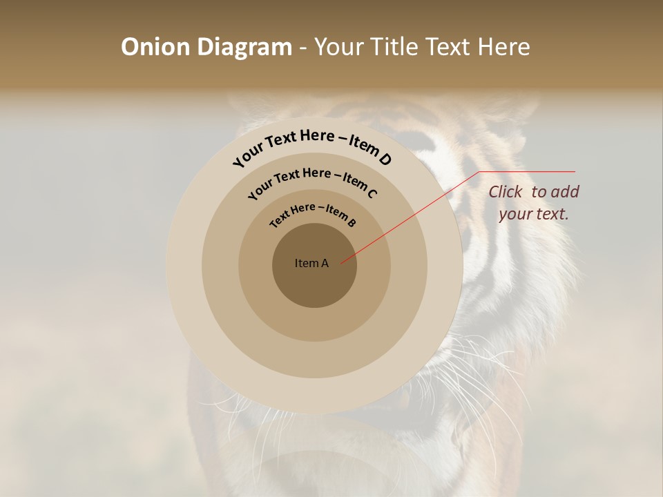 Siberian Tiger PowerPoint Template