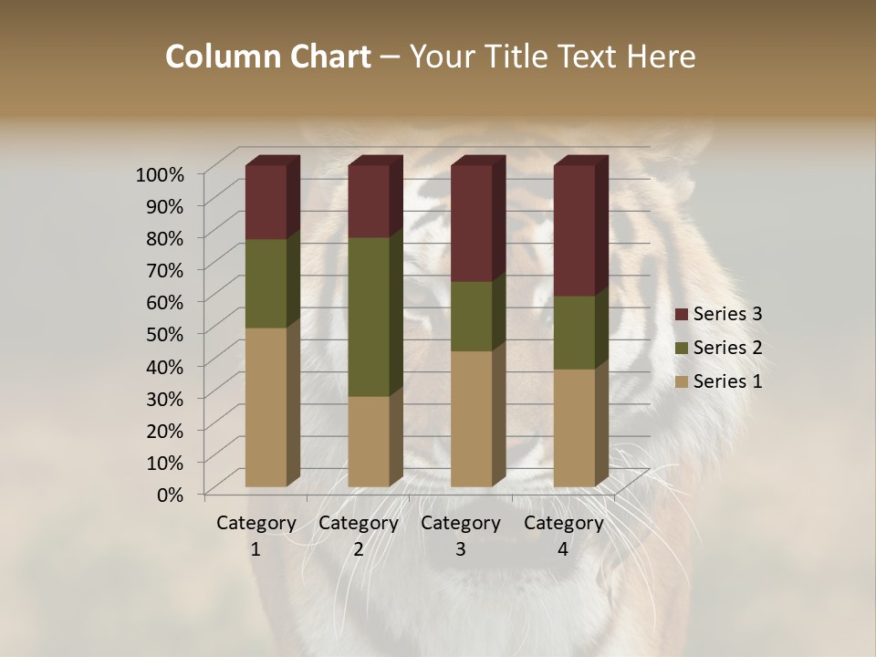 Siberian Tiger PowerPoint Template