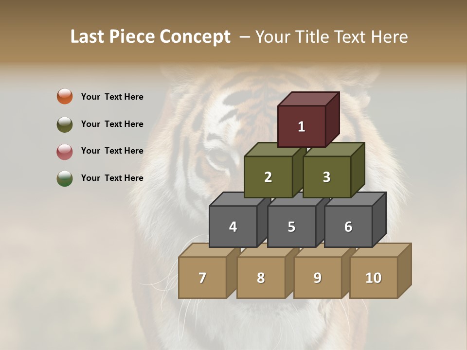 Siberian Tiger PowerPoint Template
