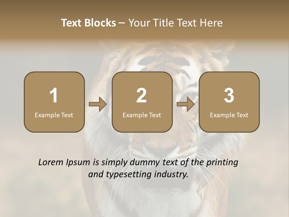 Siberian Tiger PowerPoint Template