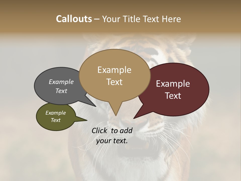 Siberian Tiger PowerPoint Template