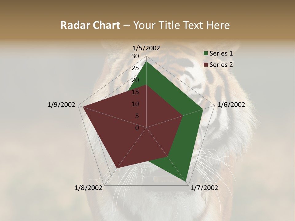 Siberian Tiger PowerPoint Template