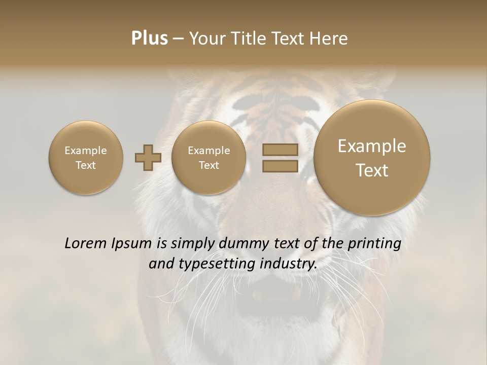Siberian Tiger PowerPoint Template