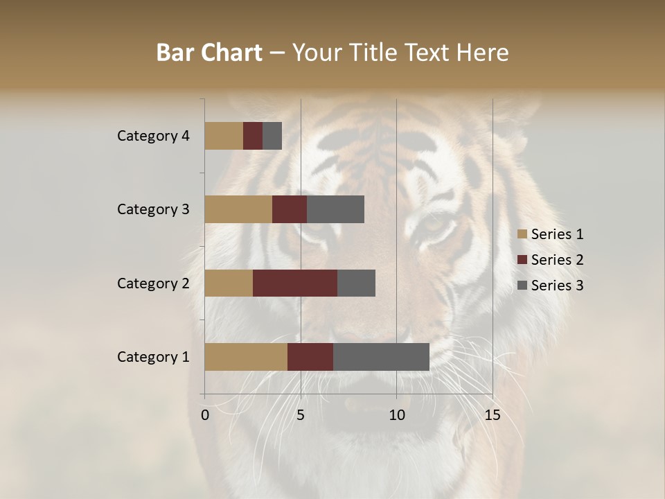 Siberian Tiger PowerPoint Template