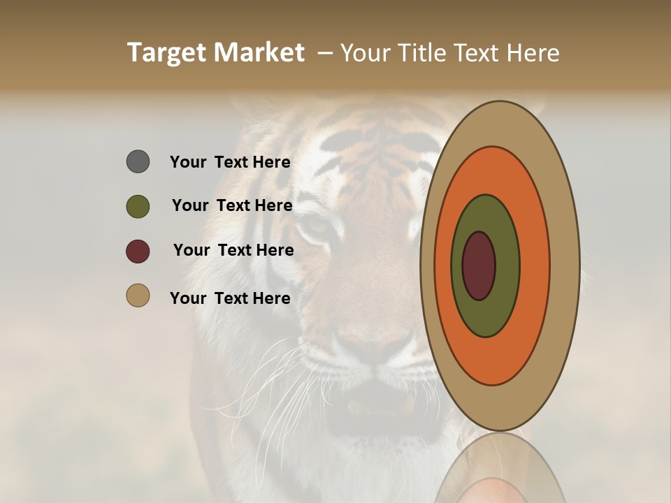 Siberian Tiger PowerPoint Template