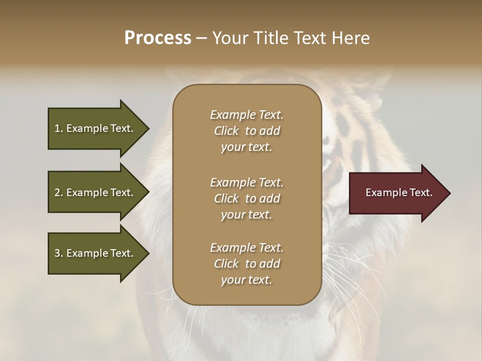 Siberian Tiger PowerPoint Template