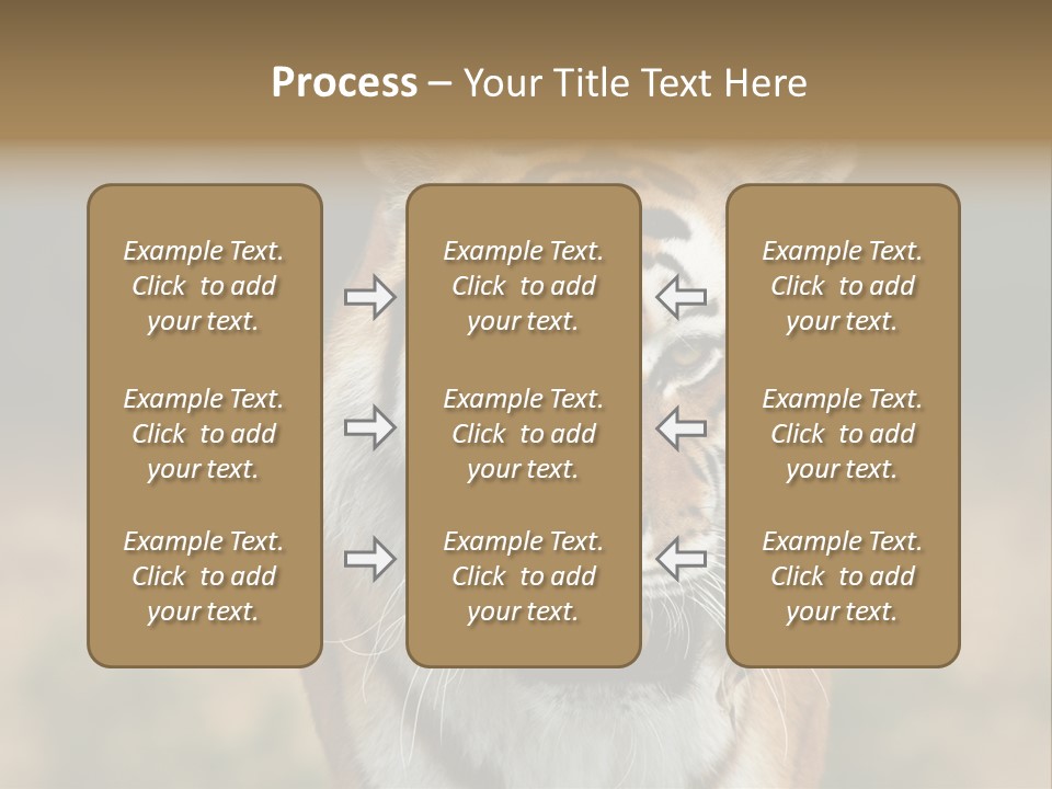 Siberian Tiger PowerPoint Template