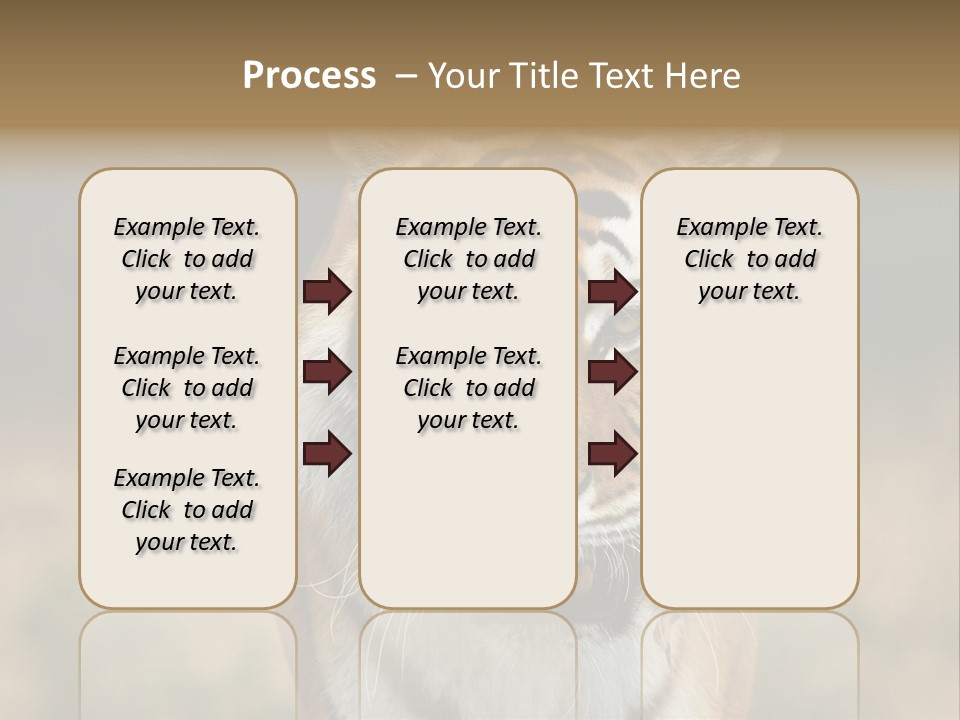 Siberian Tiger PowerPoint Template