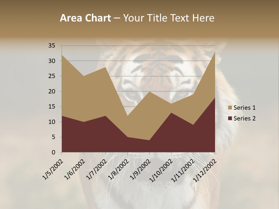 Siberian Tiger PowerPoint Template