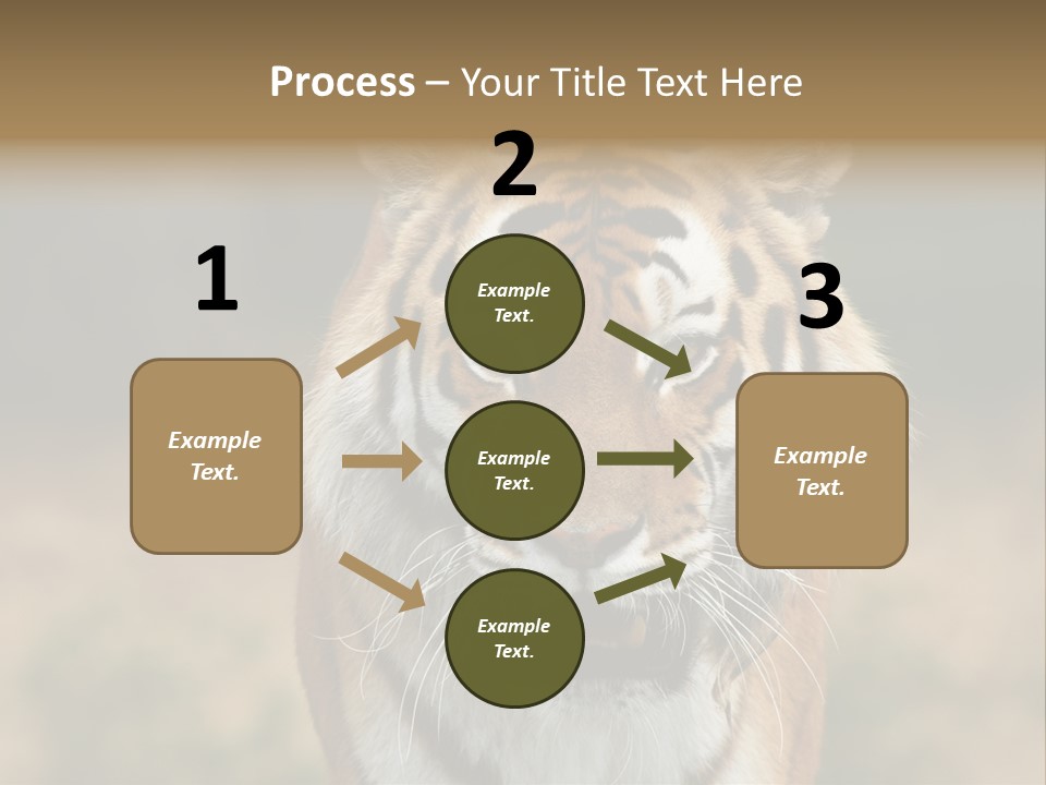 Siberian Tiger PowerPoint Template
