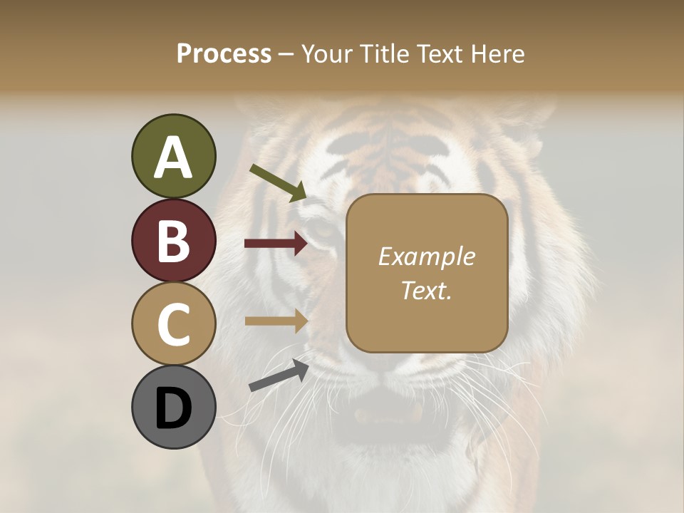 Siberian Tiger PowerPoint Template
