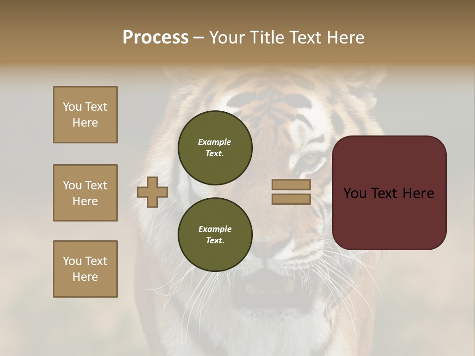 Siberian Tiger PowerPoint Template