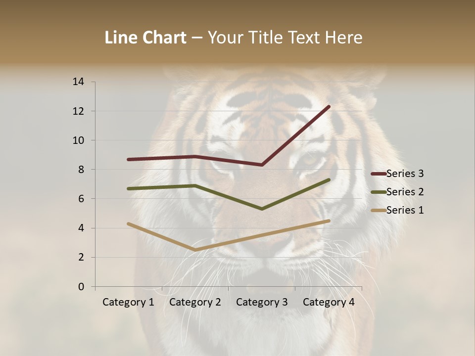 Siberian Tiger PowerPoint Template