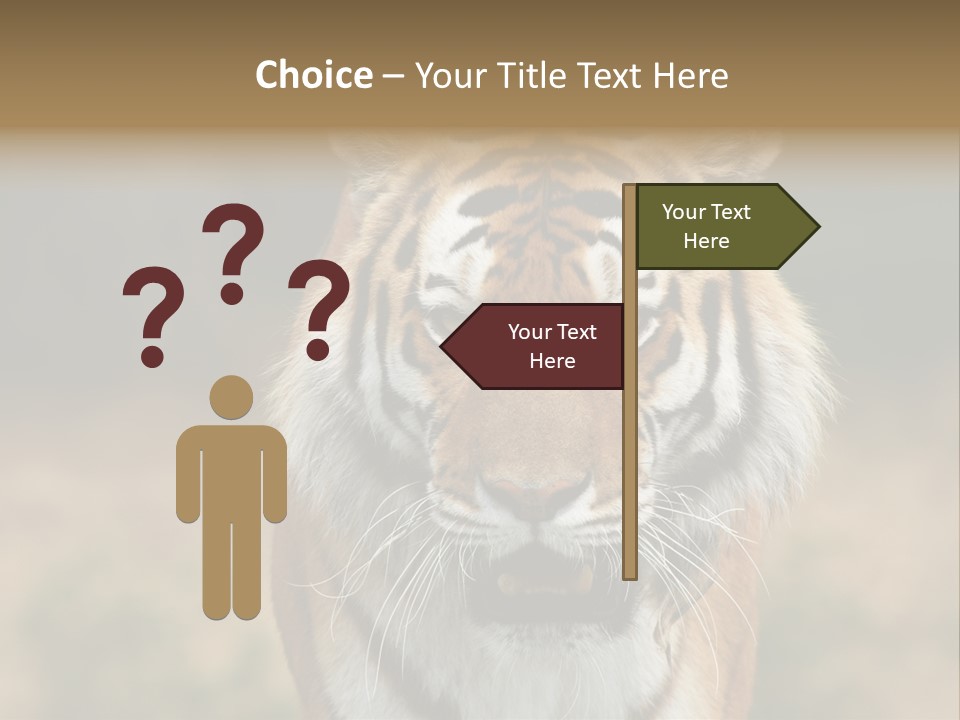 Siberian Tiger PowerPoint Template