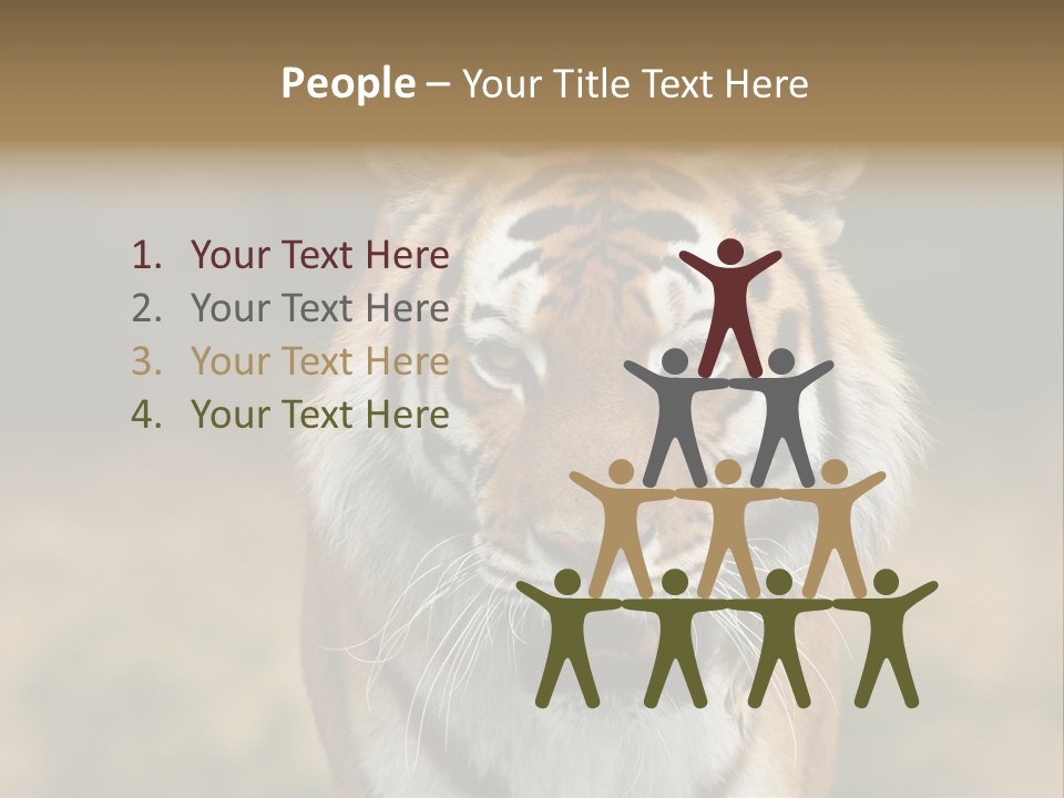 Siberian Tiger PowerPoint Template