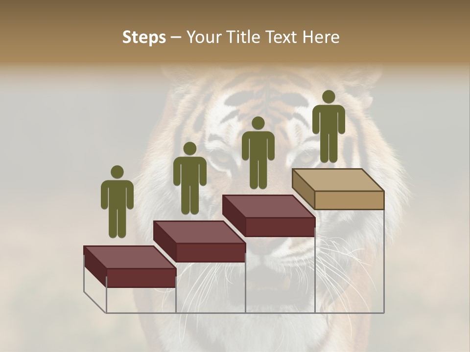 Siberian Tiger PowerPoint Template