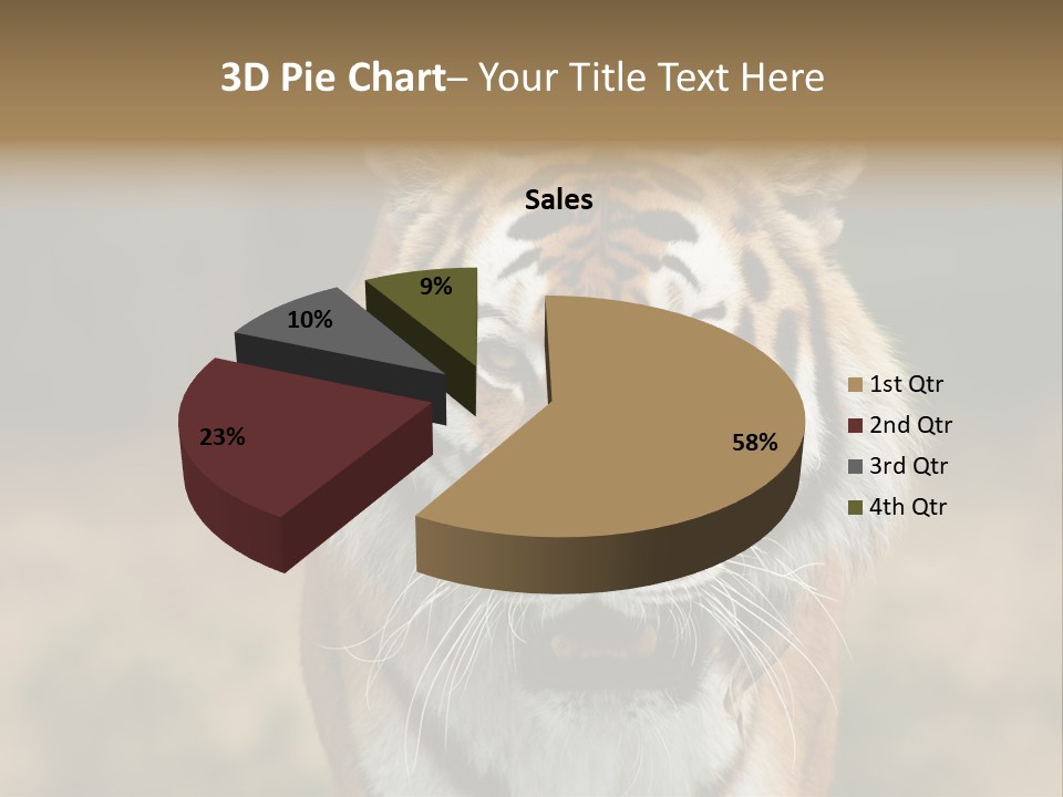 Siberian Tiger PowerPoint Template