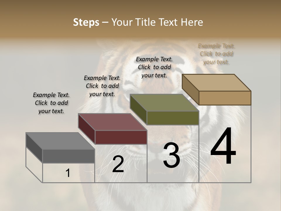 Siberian Tiger PowerPoint Template