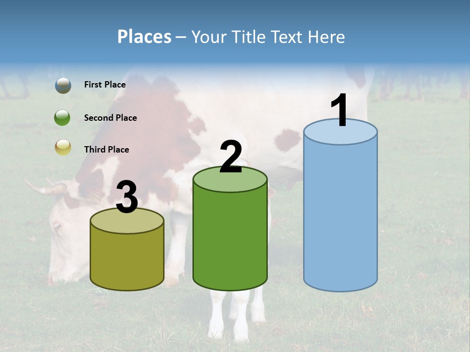 Cow And Calf PowerPoint Template