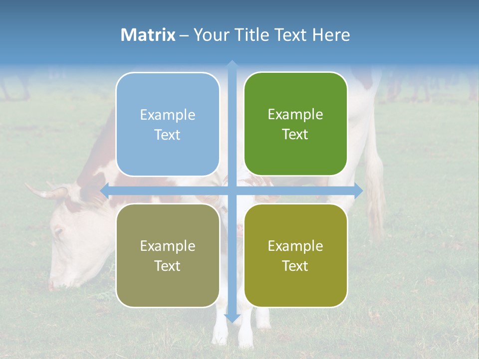 Cow And Calf PowerPoint Template