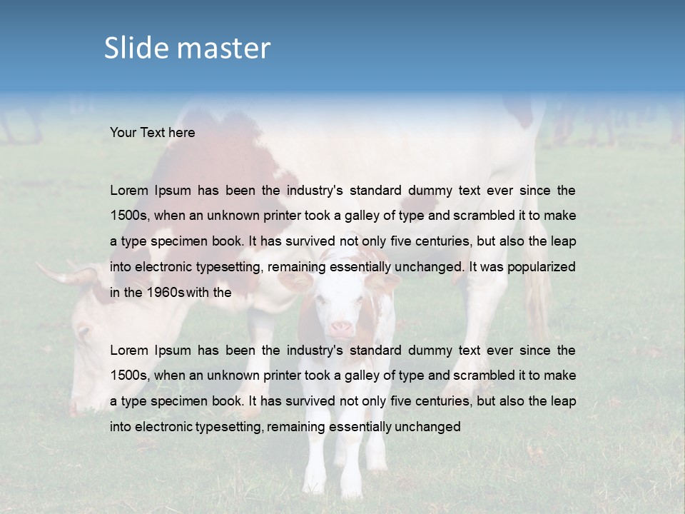 Cow And Calf PowerPoint Template