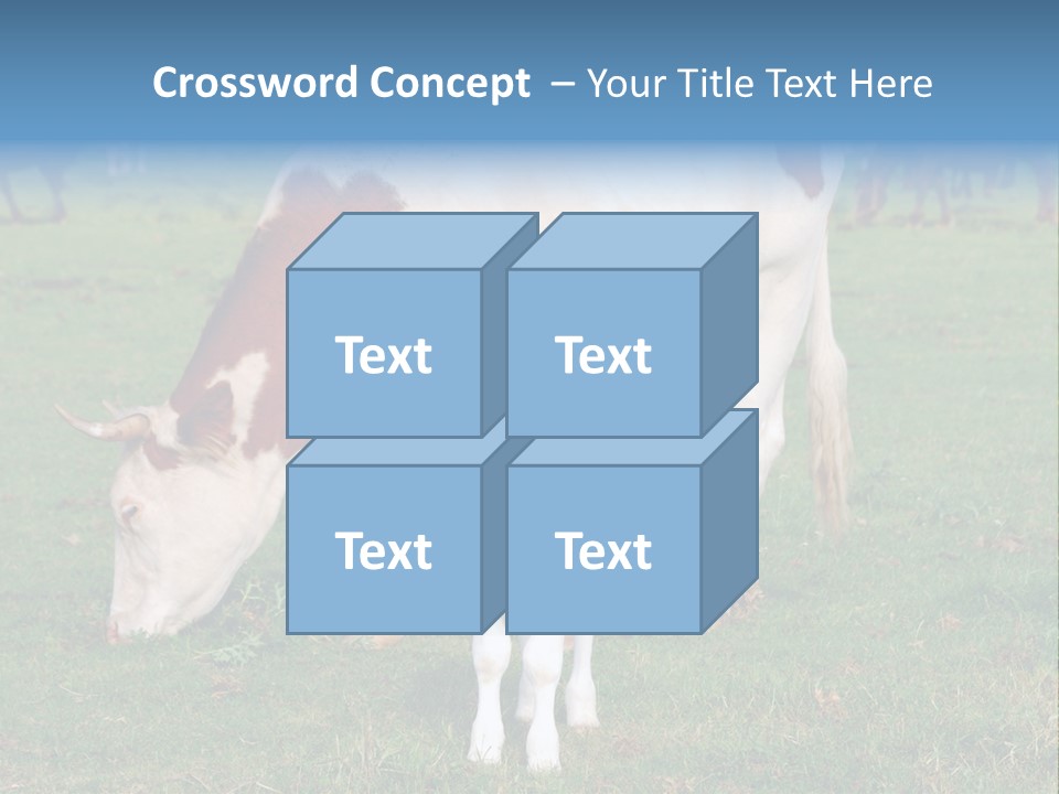 Cow And Calf PowerPoint Template