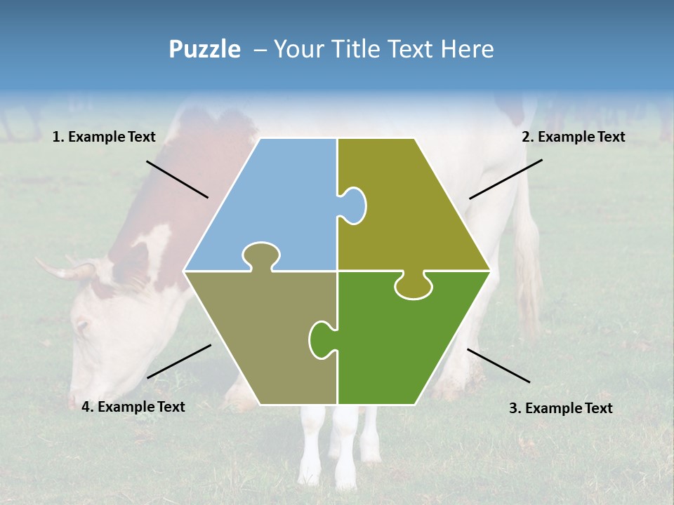 Cow And Calf PowerPoint Template