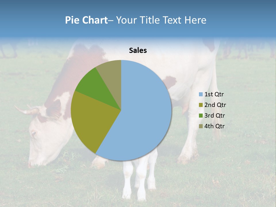 Cow And Calf PowerPoint Template