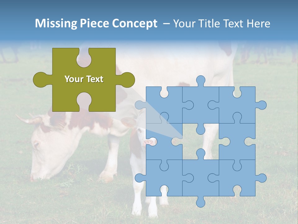 Cow And Calf PowerPoint Template