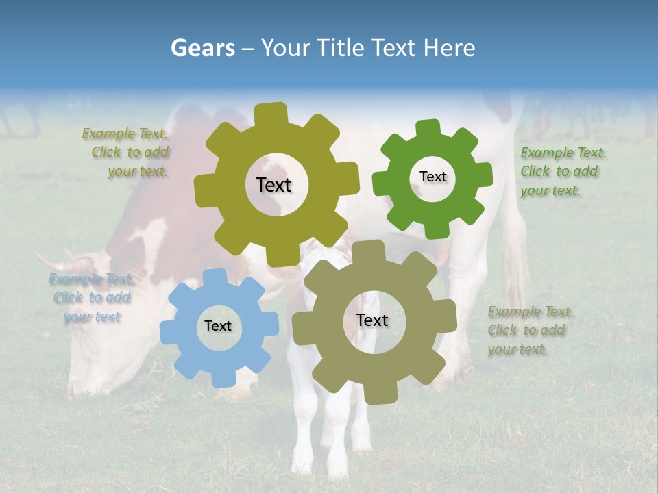 Cow And Calf PowerPoint Template