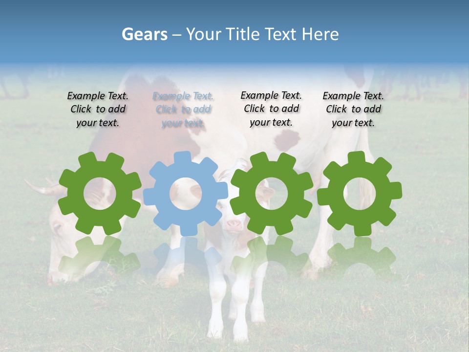 Cow And Calf PowerPoint Template