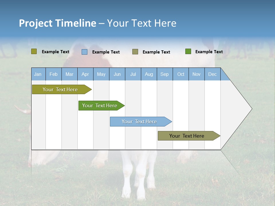 Cow And Calf PowerPoint Template