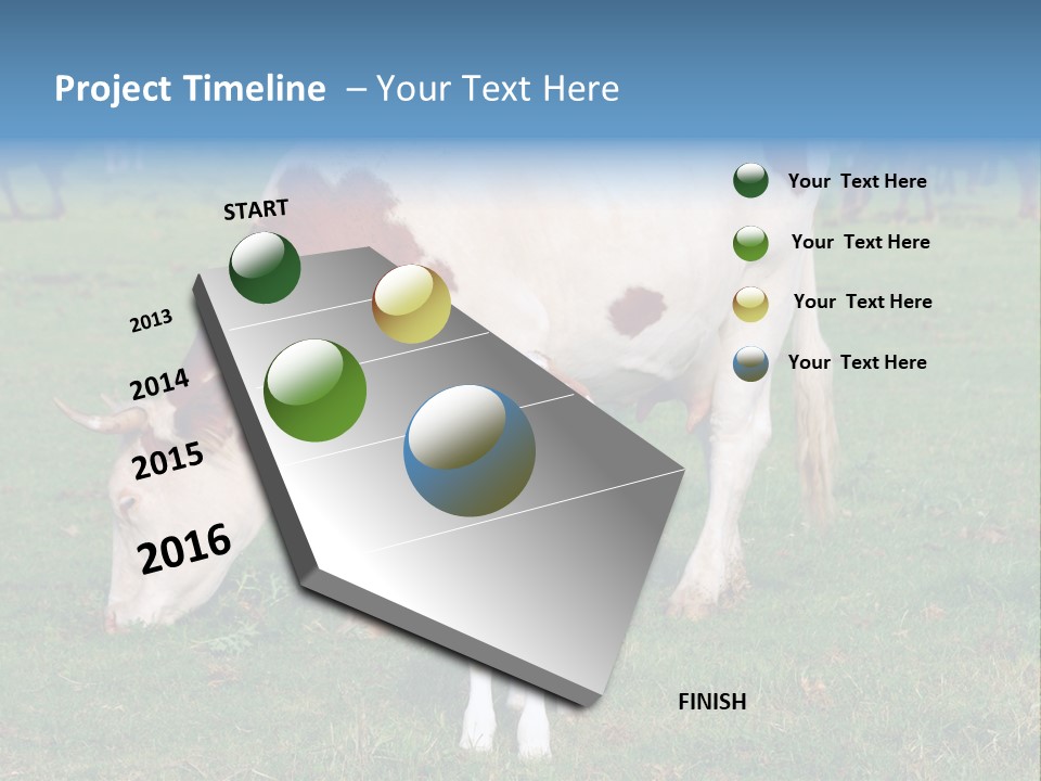 Cow And Calf PowerPoint Template
