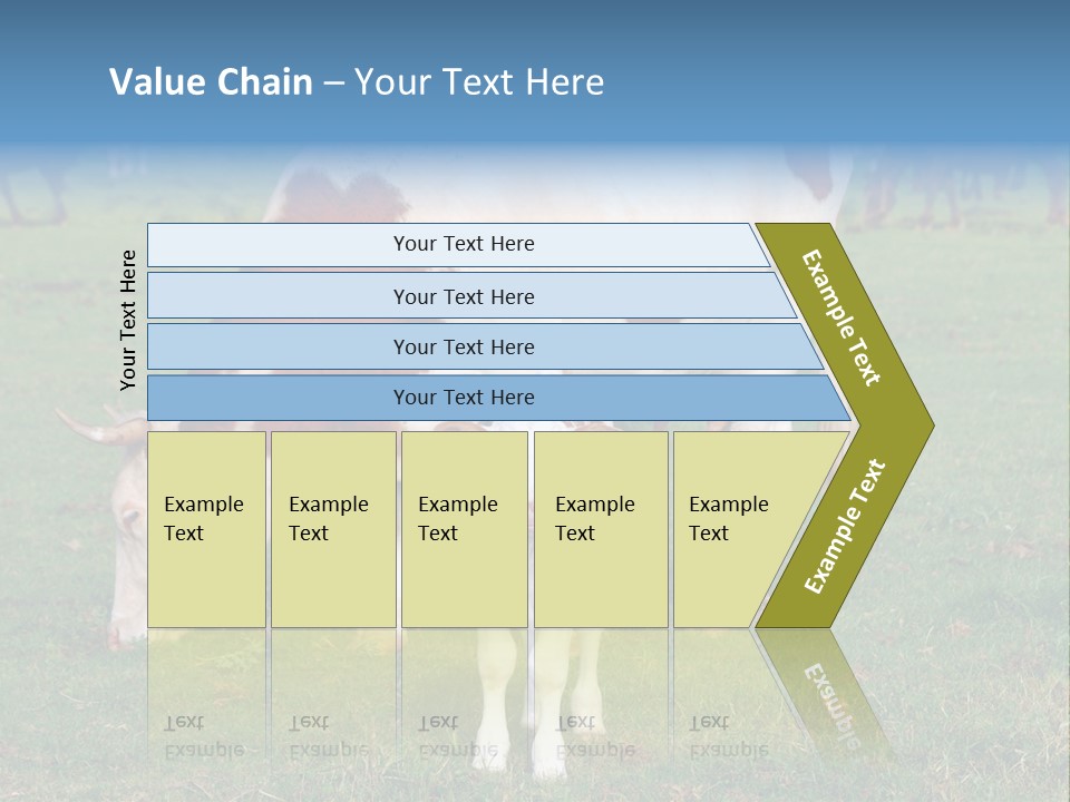 Cow And Calf PowerPoint Template