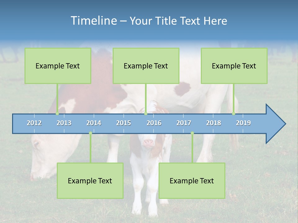 Cow And Calf PowerPoint Template