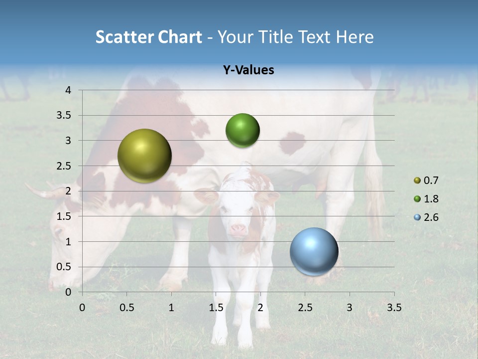 Cow And Calf PowerPoint Template