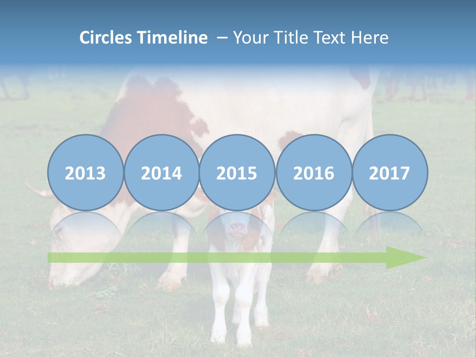 Cow And Calf PowerPoint Template