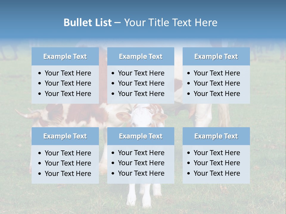 Cow And Calf PowerPoint Template