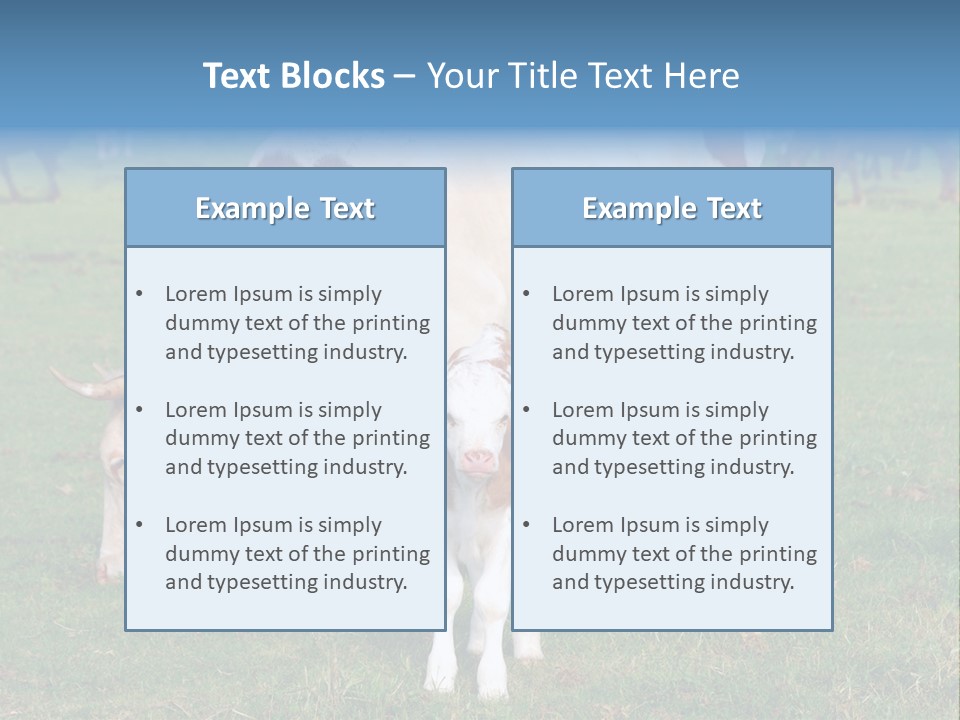 Cow And Calf PowerPoint Template