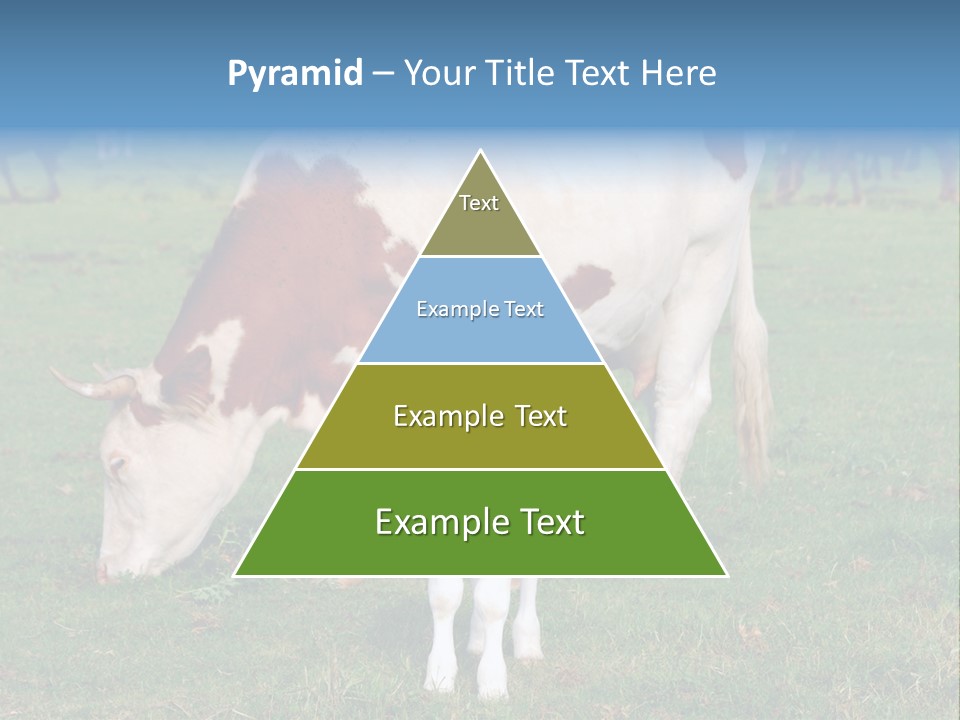 Cow And Calf PowerPoint Template