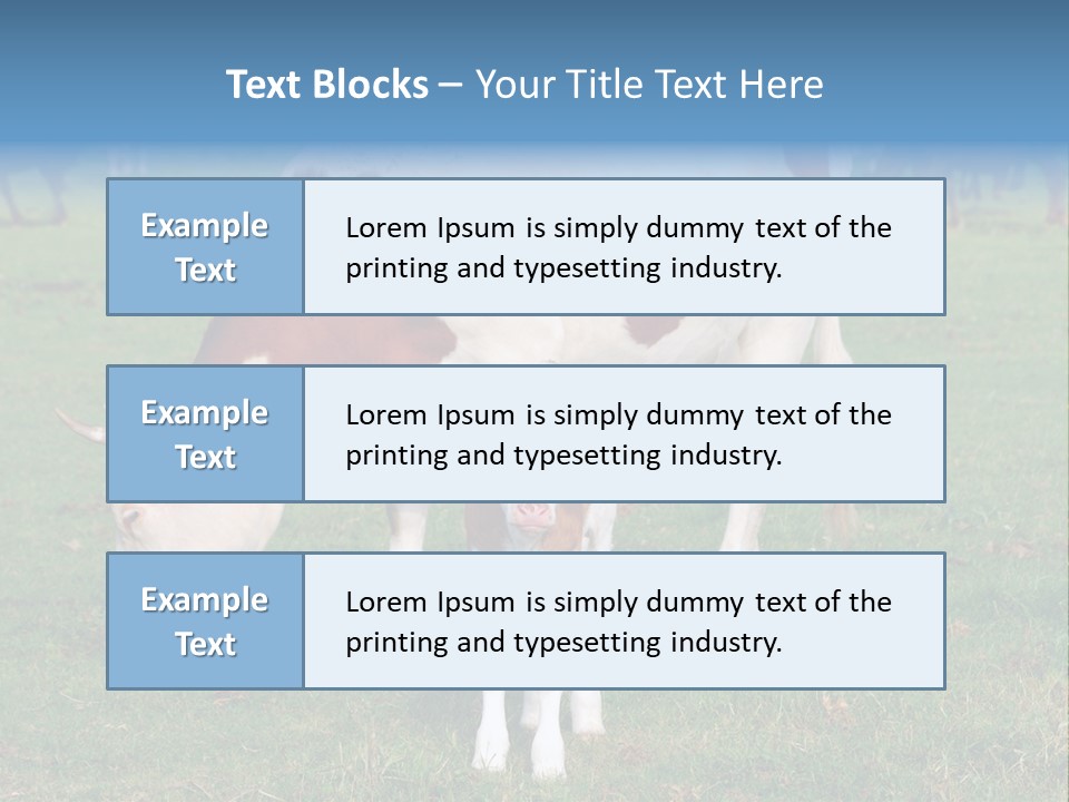 Cow And Calf PowerPoint Template