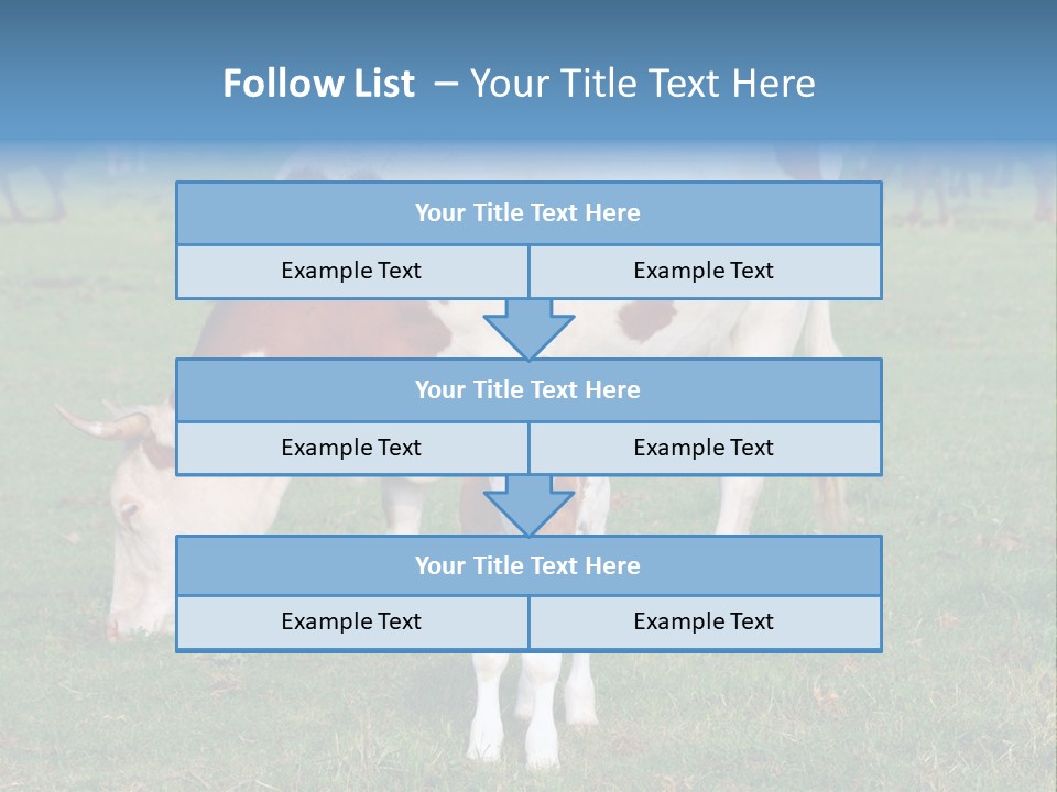Cow And Calf PowerPoint Template
