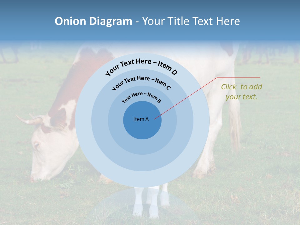Cow And Calf PowerPoint Template