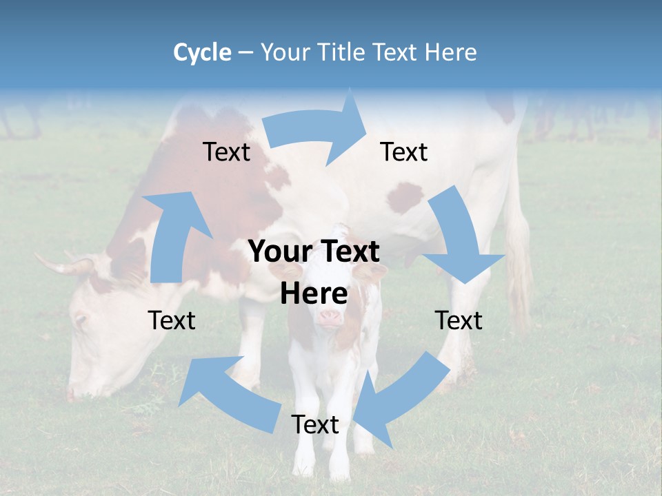 Cow And Calf PowerPoint Template