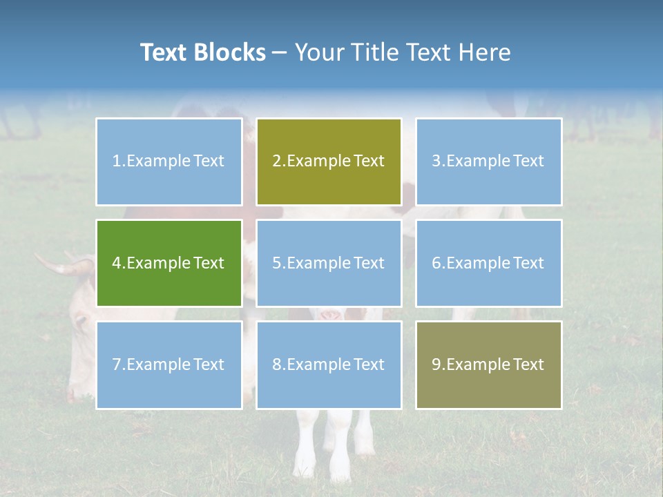 Cow And Calf PowerPoint Template