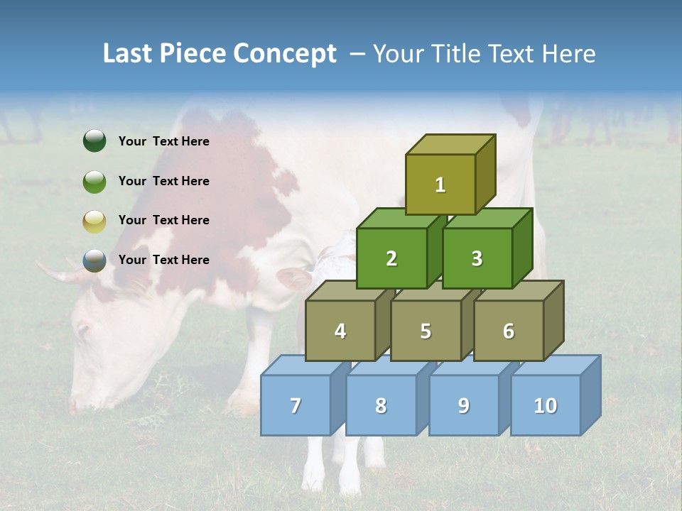 Cow And Calf PowerPoint Template