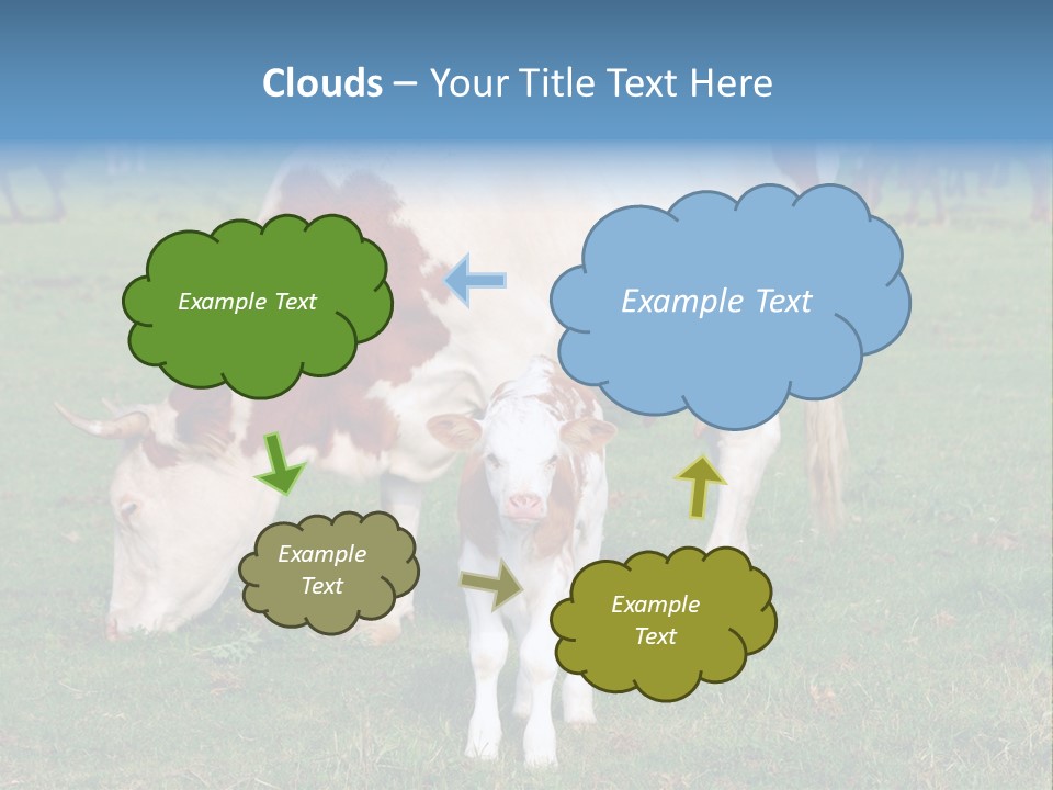 Cow And Calf PowerPoint Template