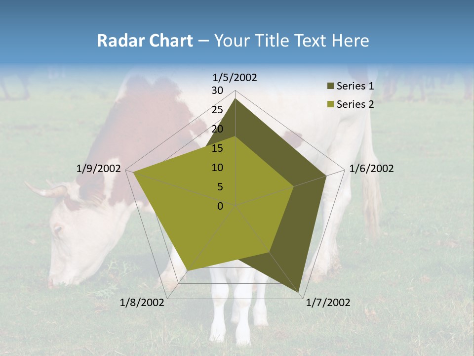 Cow And Calf PowerPoint Template